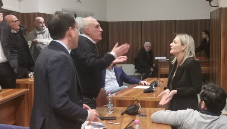 Nicola Giordano e Laura Nargi in consiglio comunale