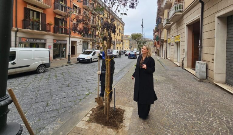 La sindaca Laura Nargi in corso Umberto I, piantumazione nuovi alberi