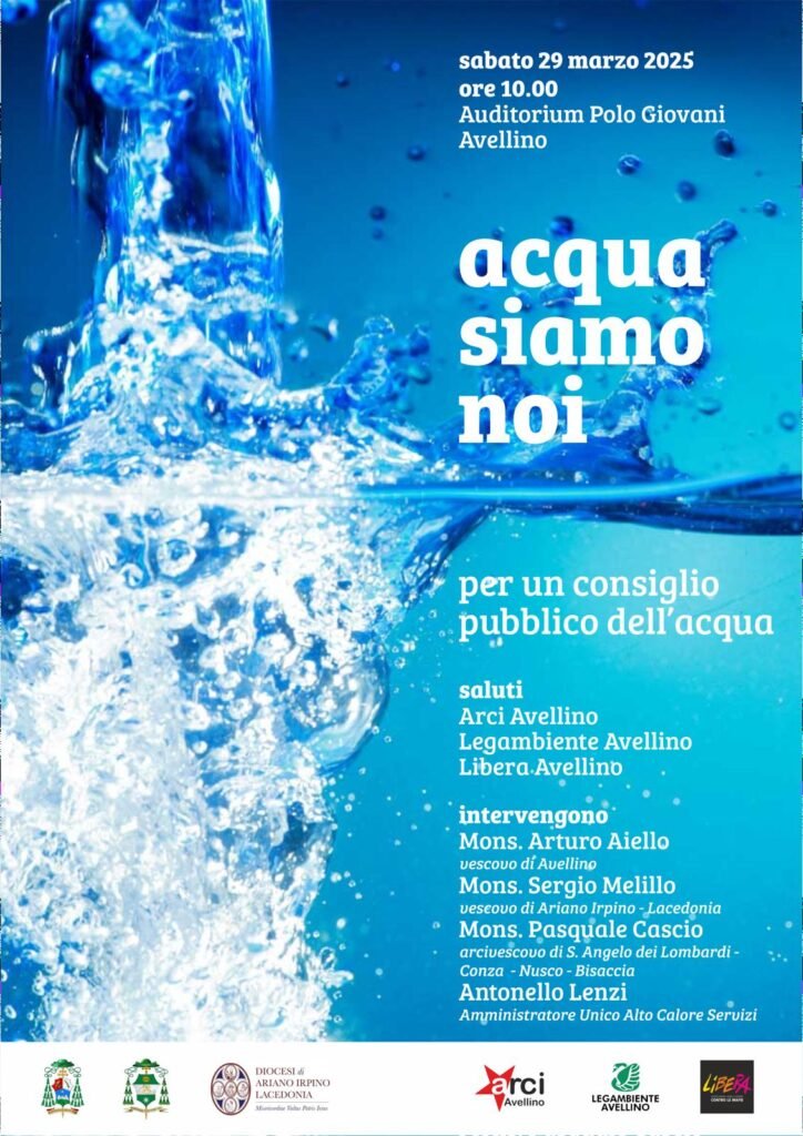 Consiglio dell'Acqua Pubblica, locandina