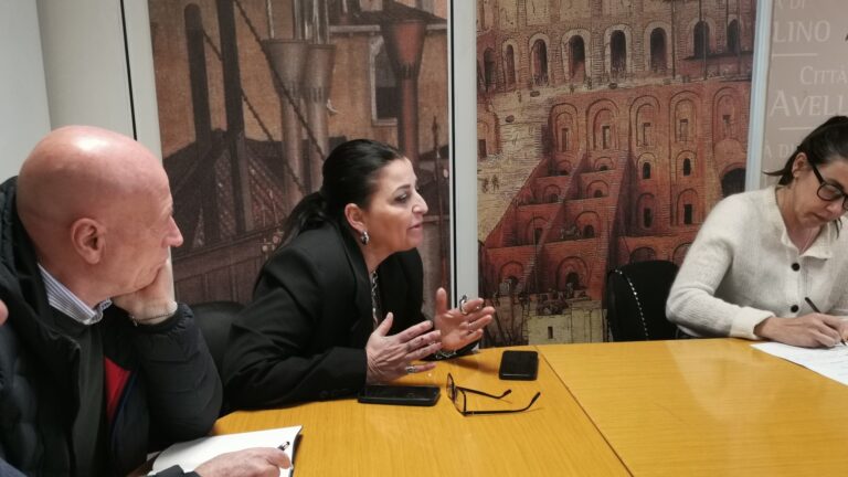 Maria Luisa Dovetto in conferenza capigruppo Avellino