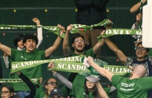 Basket, Scandone Avellino tifosi