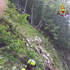 Montella vigili del fuoco Monte Acellica