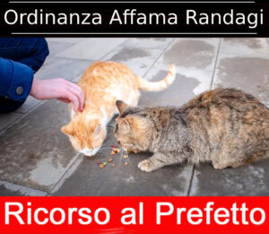 Partito animalista contro ordinanza affama randagi ricorso al prefetto