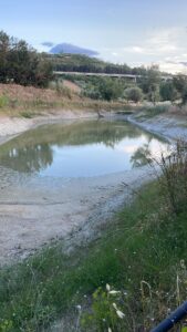 Siccità, Uniagri: allarme in Valle Ufita, ulivi e ortaggi a rischio collasso. Necessario un piano di soccorso