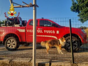 cane salvato a gesualdo dai vigili del fuoco