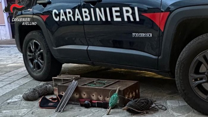 Vallata, in auto con otto cardellini e attrezzi per la cattura: denunciato