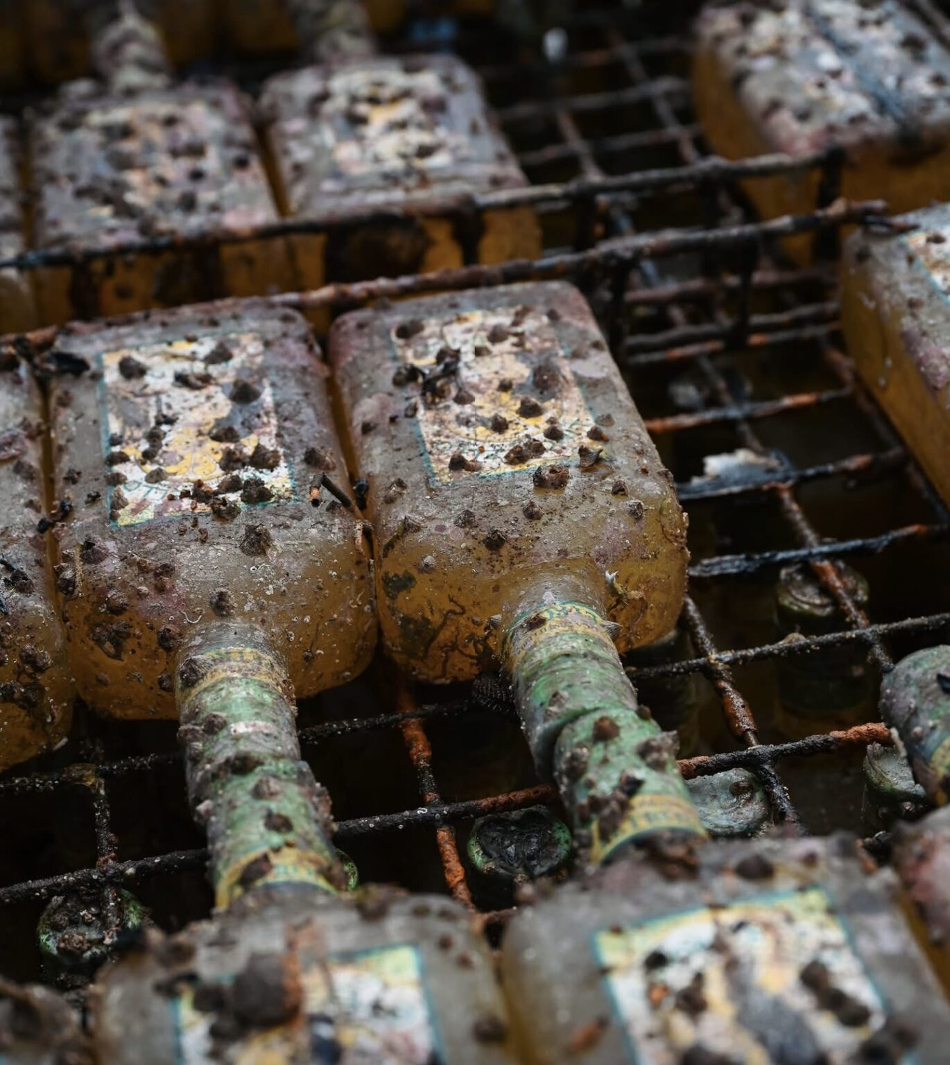 Nel blu degli abissi, il cuore del limoncello