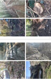 Nusco, Piano di gestione forestale: una mozione per chiedere di interrompere i tagli boschivi nelle aree sovrastanti il serbatoio dell’Acquedotto dell’Alto Calore