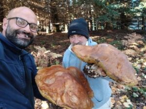 Caposele, trovato un fungo porcino di 2,8 chili: è tra i più grandi di questa specie