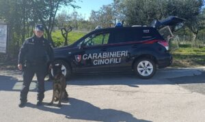 Carabinieri cinofili