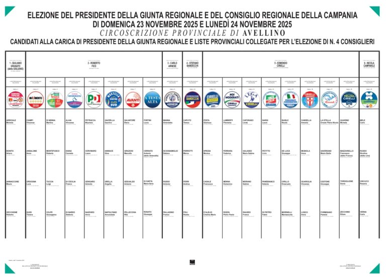 Manifesto elettorale Regionali Campania 2025 prov Avellino