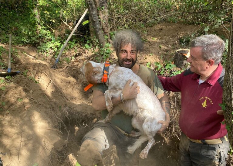 Setter salvato dai vigili del fuoco a Montella