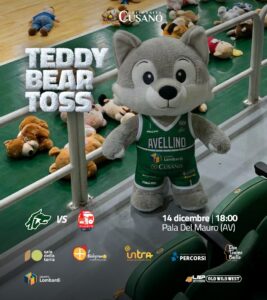Avellino Basket Teddy Bear Toss