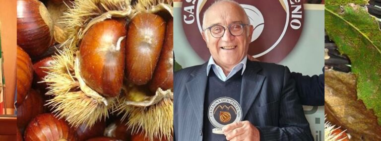 Verso l’IGP, la castagna del Partenio accelera: filiera e ricerca al centro del confronto