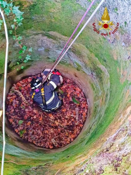 Cane cade in un pozzo sui monti del Serinese: salvato dai Vigili del Fuoco