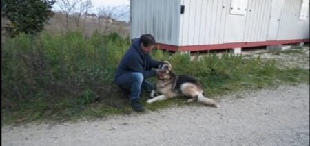 Avellino, “Bella” rianima Aldo e gli salva la vita. La storia del cane eroe