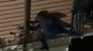 Solofra, ladri tentano raid in un’abitazione: messi in fuga dai vicini