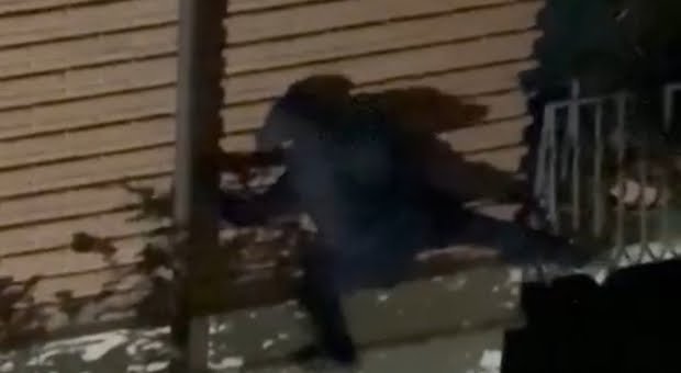 Solofra, ladri tentano raid in un’abitazione: messi in fuga dai vicini