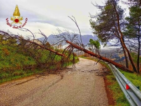 Maltempo: circa 40 interventi dei Vigili del Fuoco tra città e provincia