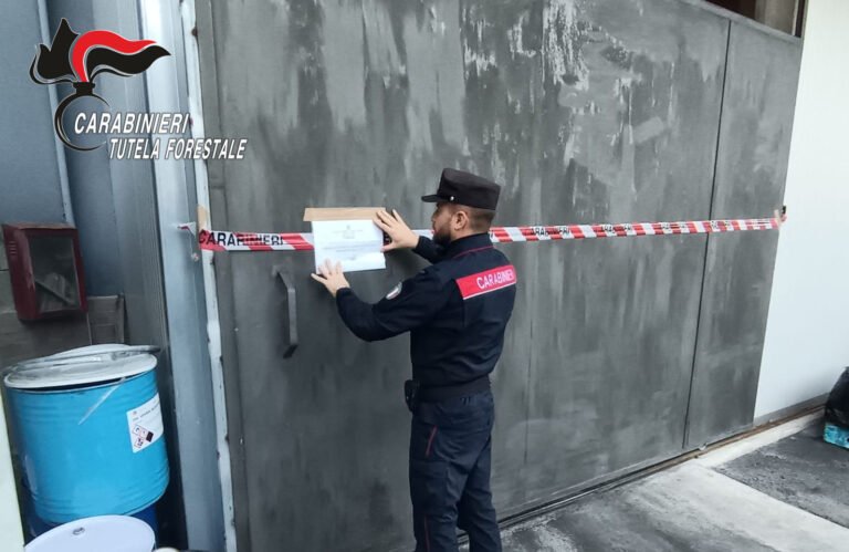 Inquinamento del fiume Sarno, denunciato un imprenditore di Solofra: sequestro da 3 milioni di euro Carabinieri sequestro