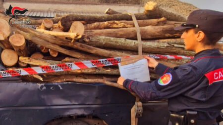 Carabinieri sequestro legna