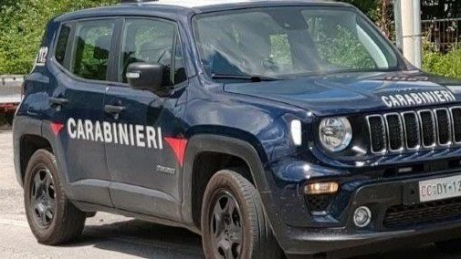 Calabritto, operaio perde la vita schiacciato da un albero