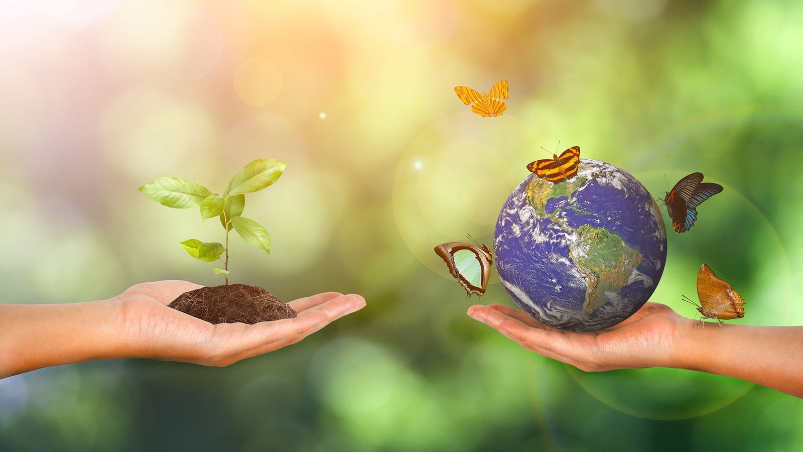 Sport, salute e biodiversità: a Sturno il dialogo tra benessere della ...